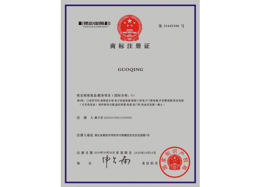 13486386475f56f831c39a7_520_374_2